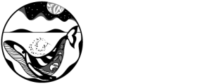 Ahous Adventures
