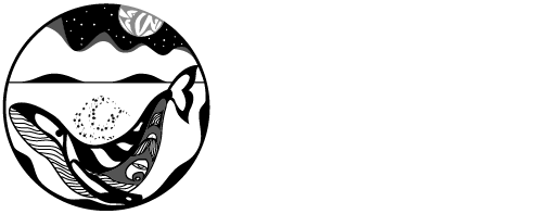 Ahous Adventures
