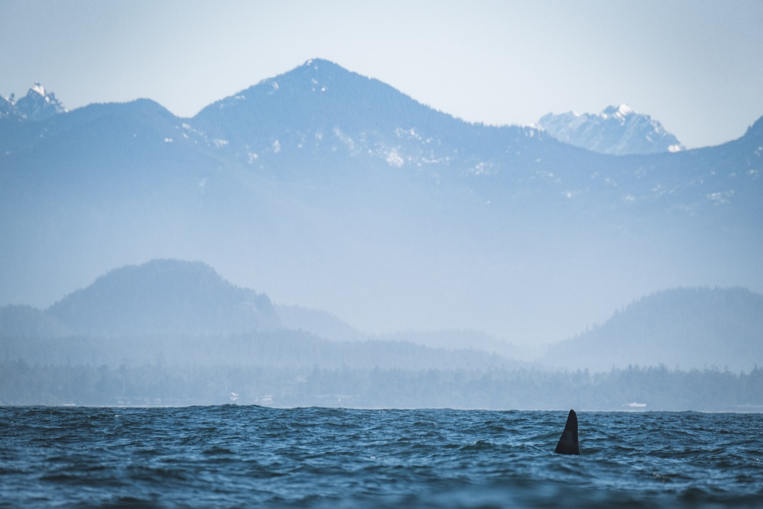 a large body of water with a mountain in the background