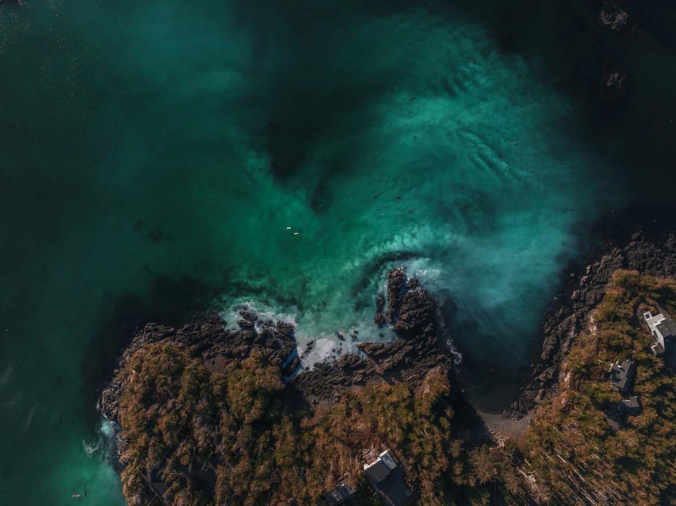 Aerial view of rugged coastline with turquoise ocean waves crashing against rocky cliffs surrounded by lush greenery, perfect for coastal travel and adventure tourism